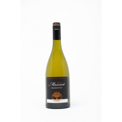 Mascart Reserve Chardonnay Blanc 75cl
